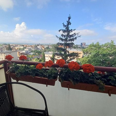 Apartman Lienka Free Parking City Centre Trenčín Extérieur photo